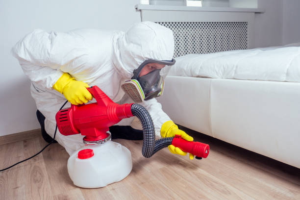 Best Affordable Pest Control Services  in Seaman, OH