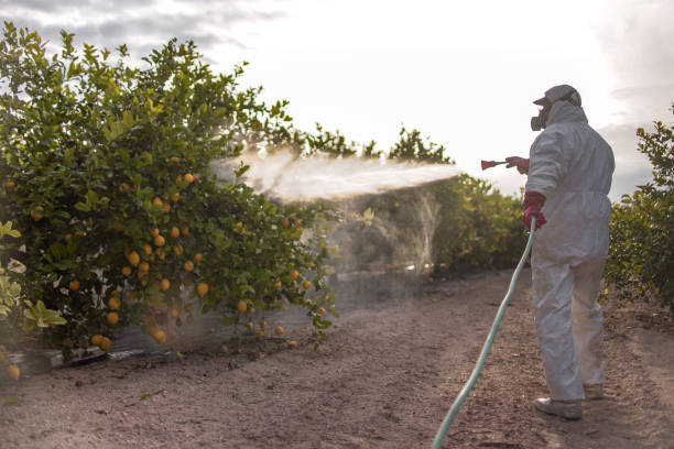 Best Emergency Pest Control  in Seaman, OH